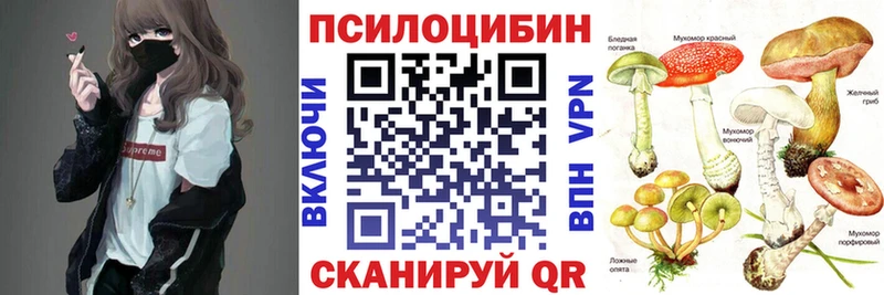 Галлюциногенные грибы Cubensis  Павлово 