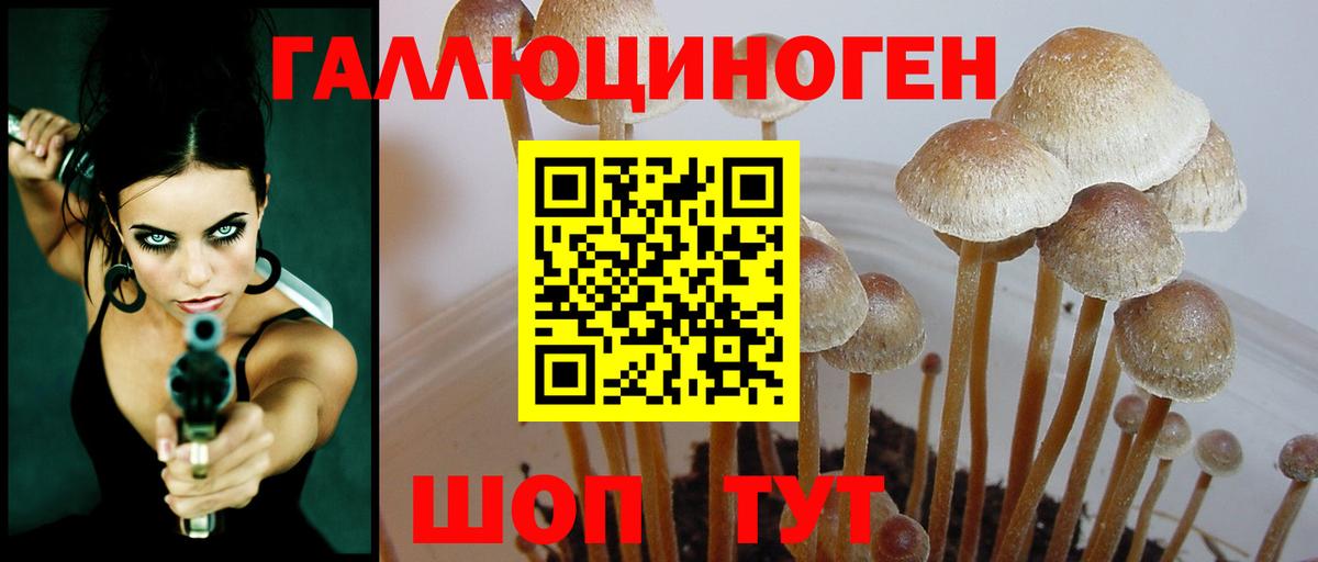 Псилоцибиновые грибы Psilocybe  Вход с VPN  Павлово  Галлюциногенные грибы MAGIC MUSHROOMS 