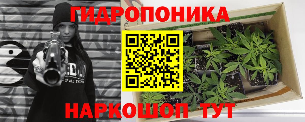 Гашиш Павлово